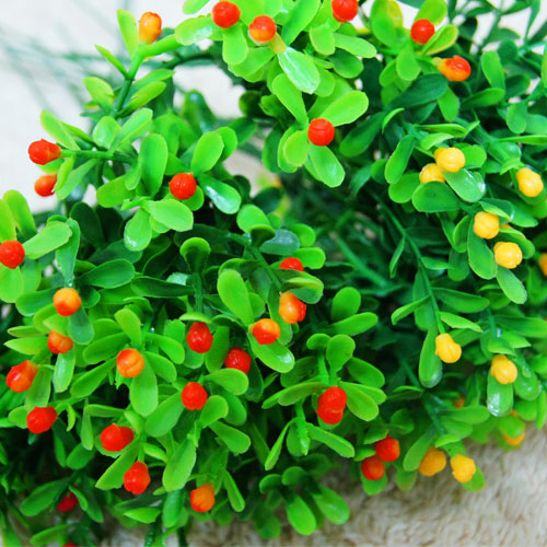 ��ǰ�̹���